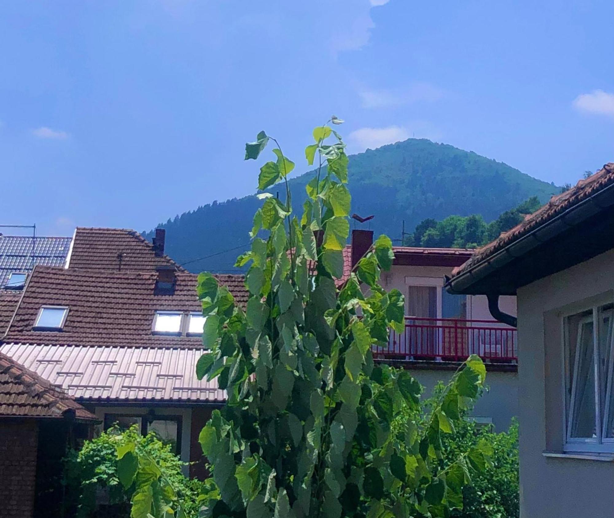 Apartman Balkan Visoko Bagian luar foto